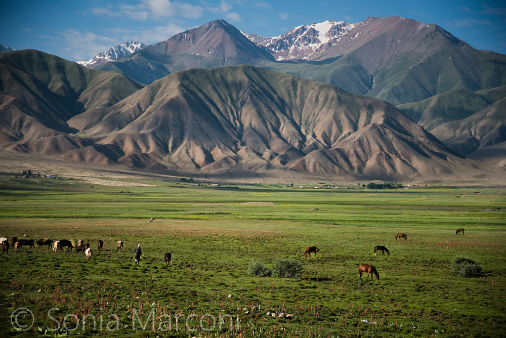 Kirghizistan1.jpg
