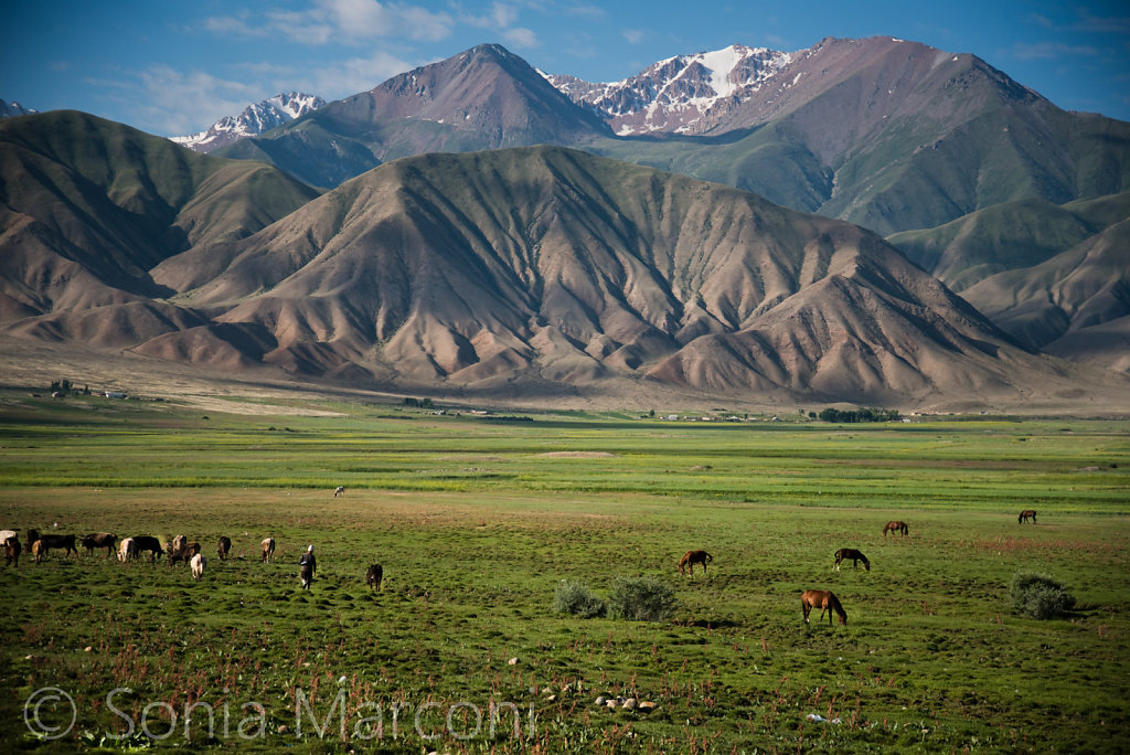 Kyrgyzstan